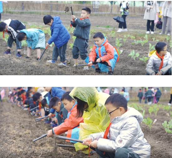 校企合作共建兰里特色研学营地,杭州十三所学校尝鲜!有你家的吗?