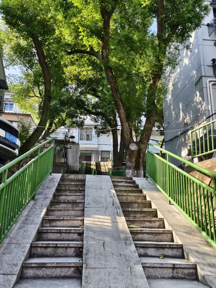 227ee70dc0134a9acde86c28935debb7.jpg